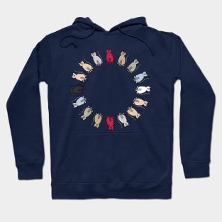 Circle of Magentaverse Rainbow Cats Hoodie